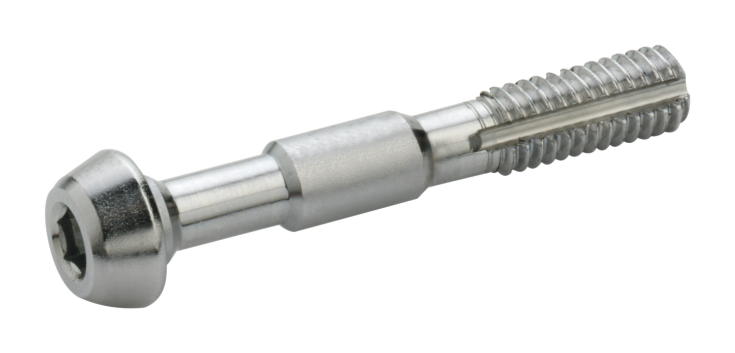 Elvedes 2 banjo bouten voor Shimano