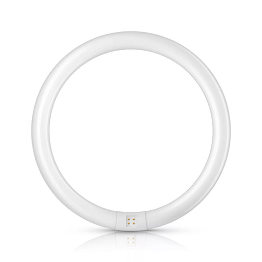 Phi tle kleur 840  32W-G10