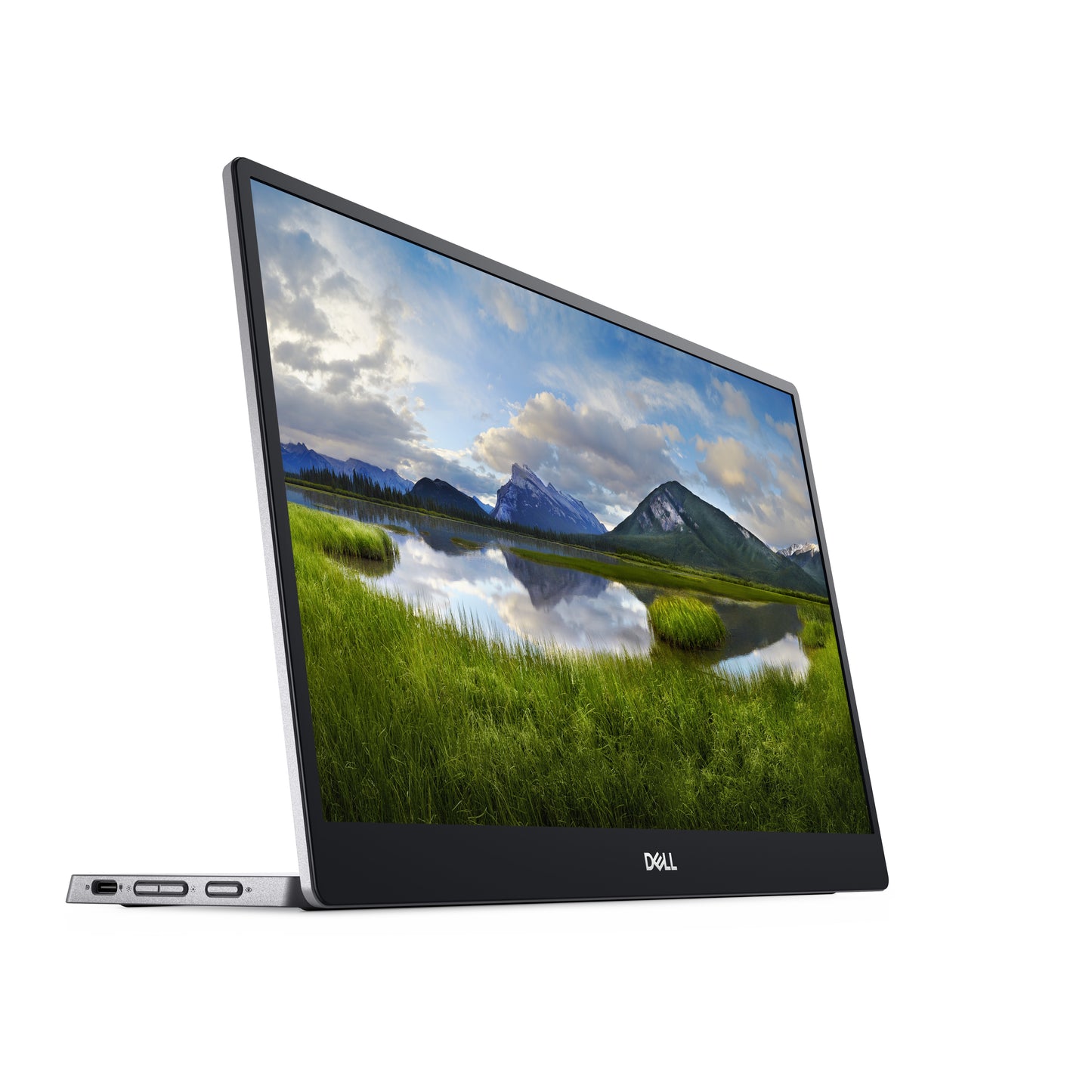 Dell P1424H