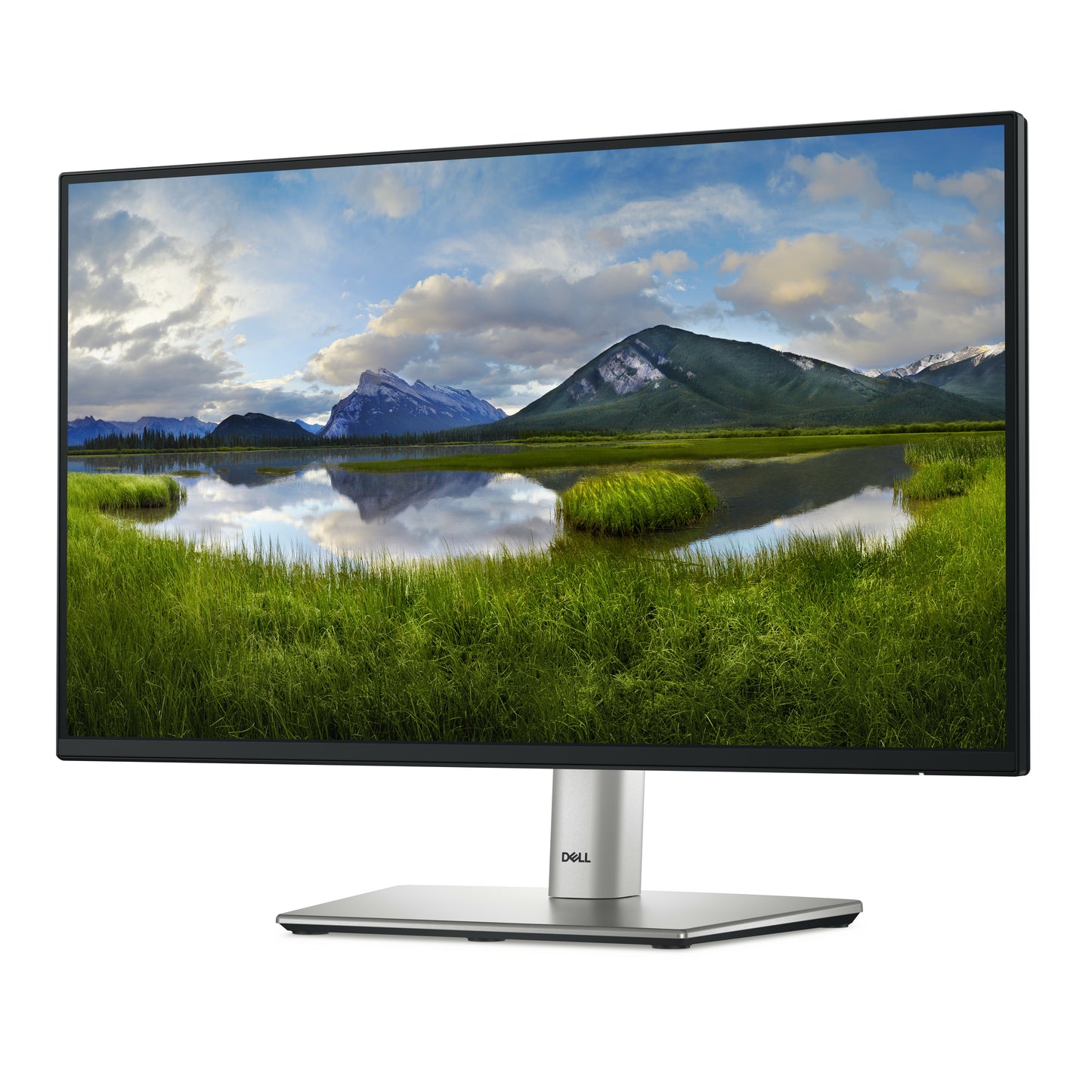 Dell P2225H