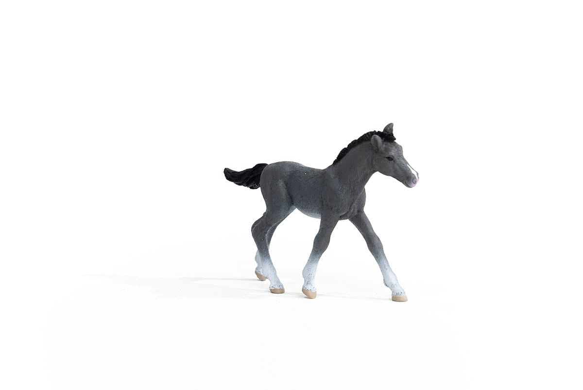 Schleich Horse Club     13944 Trakehner Foal
