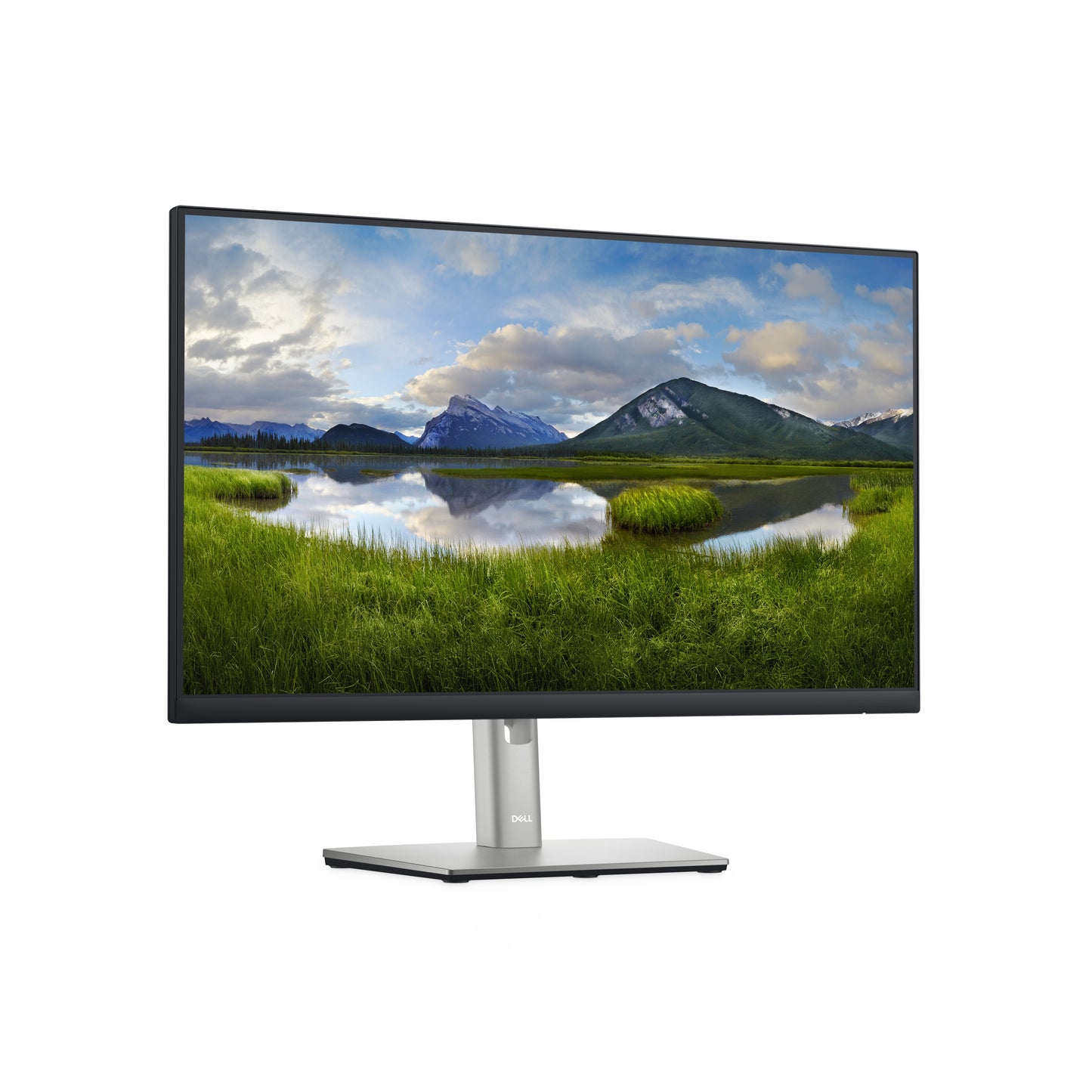 Dell P2422H