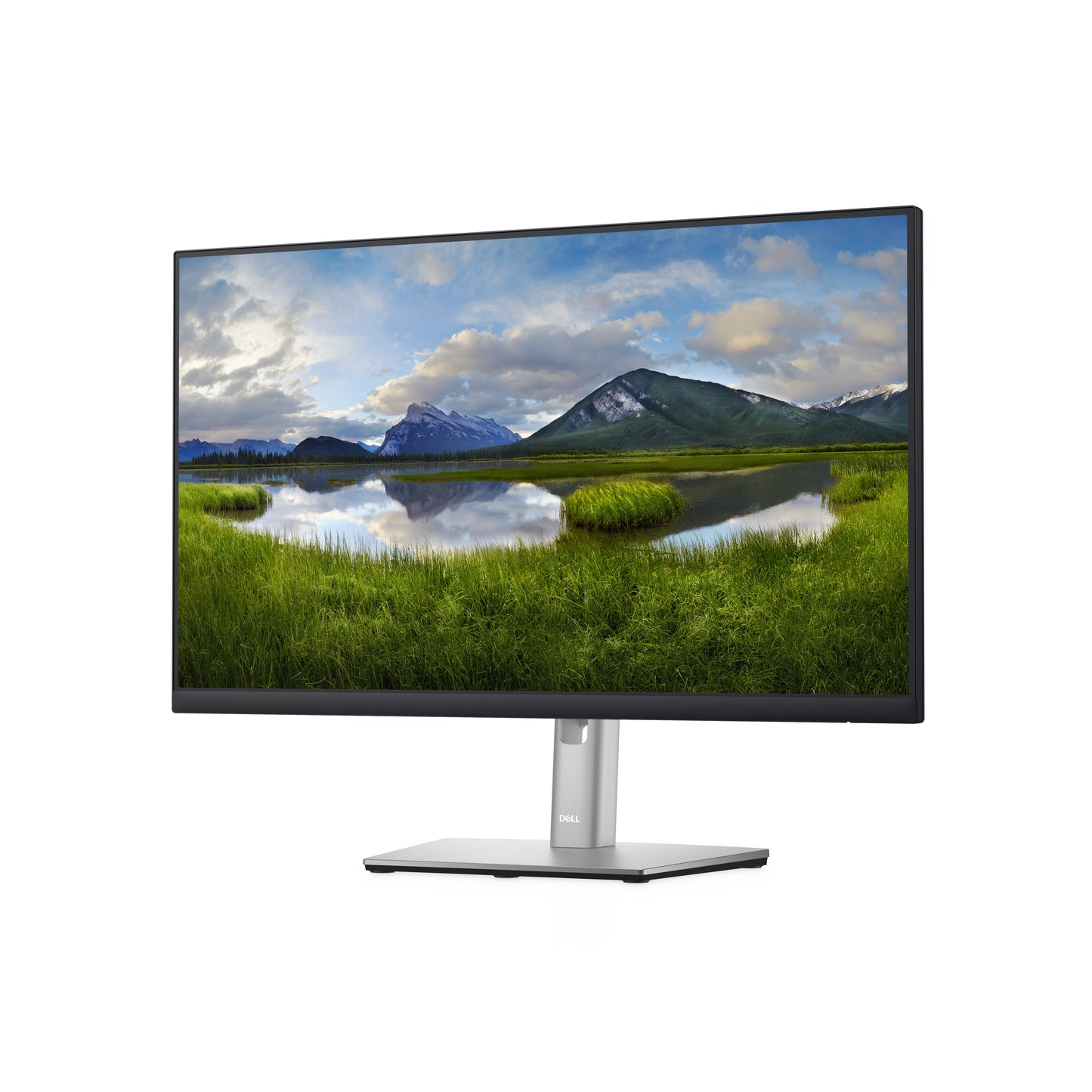 Dell P2422H