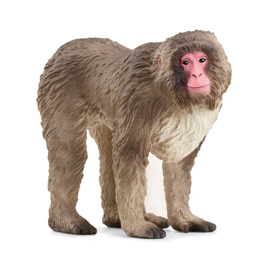 Schleich Wild Life         14871 Japanese Macaque