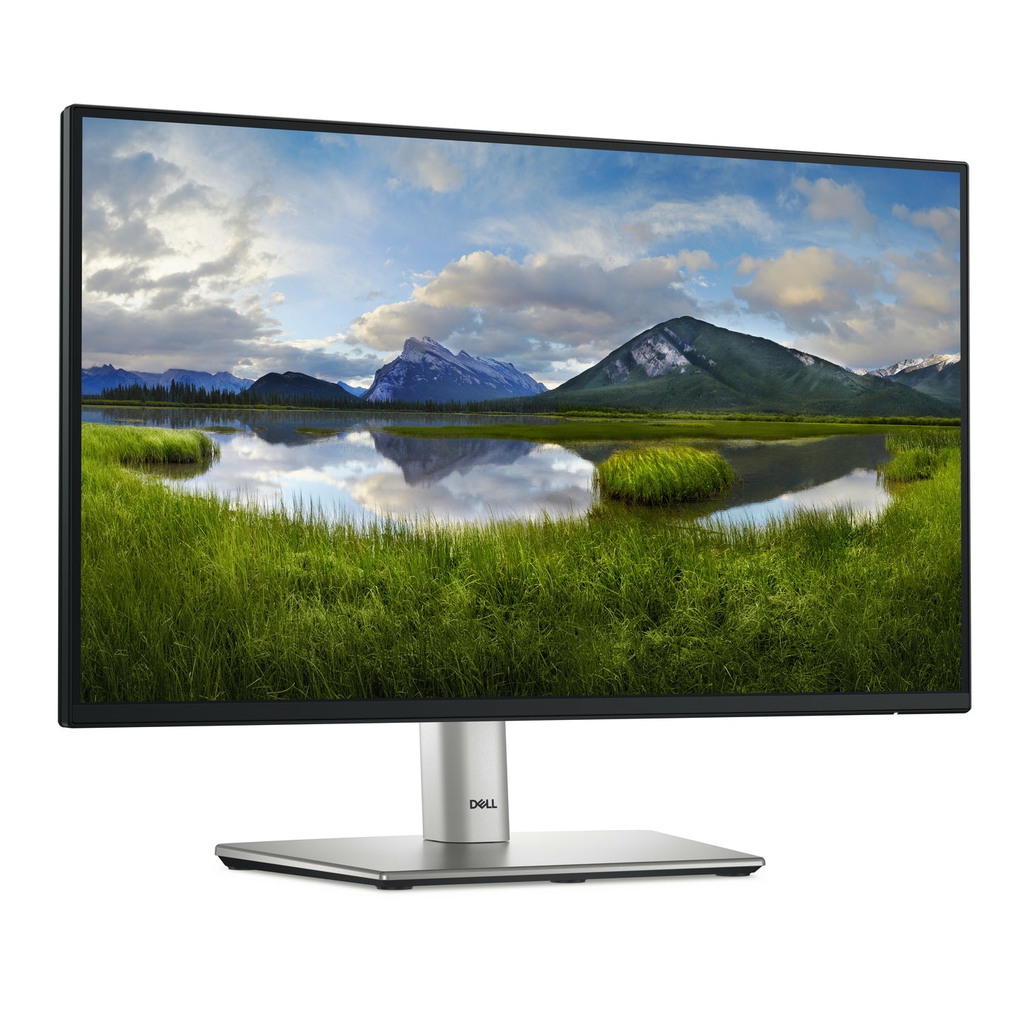 Dell P2225H